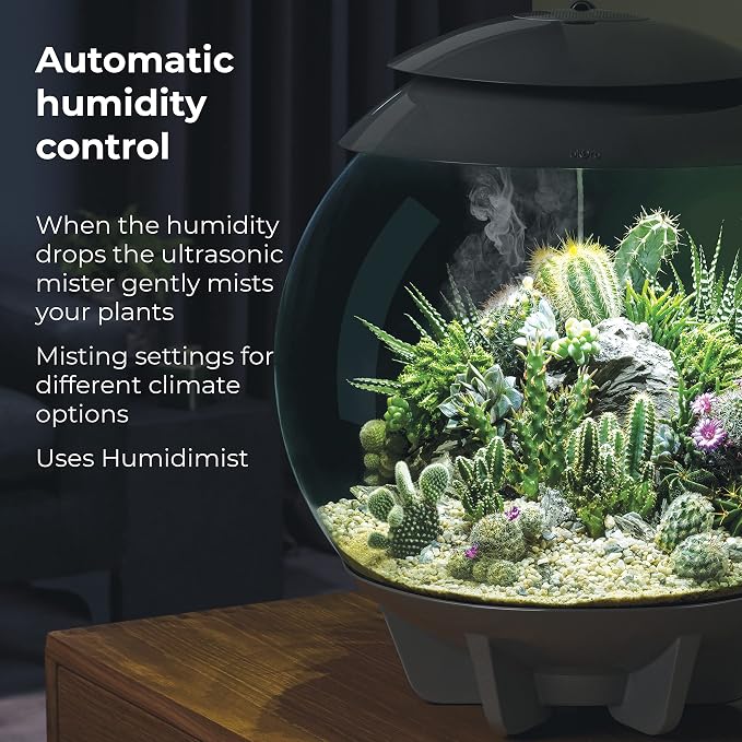 biOrb AIR 30, Fully Automated Terrarium for Arid, Temperate, or Tropical Plants, White