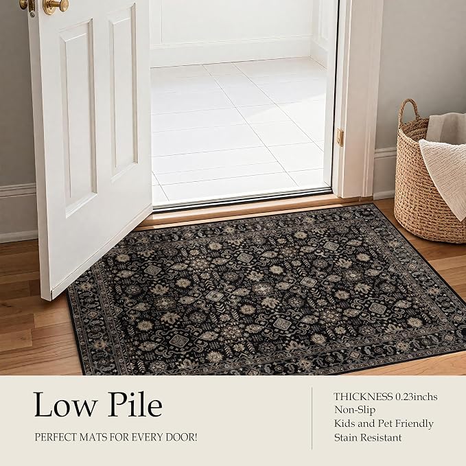 Ruaruarug Washable Area Rug 6x9 for Living Room, Bedroom, Ultra Soft Non Slip Stain & Fade Resistant, Pet & Kids Friendly, Suitable for High Traffic Areas Easy to Clean for Office Kitchen, Black Gold