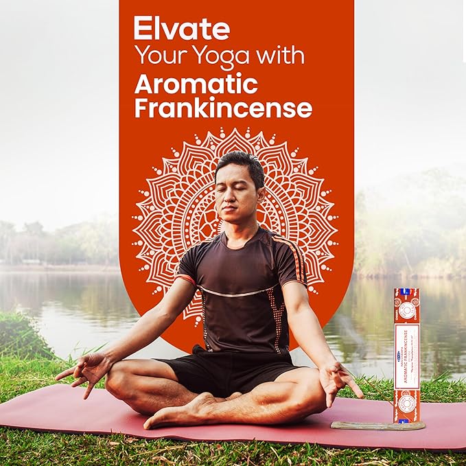 Satya Aromatic Frankincense Incense Sticks 180 gm (15GM X 12 Pack) from Satya Sai Baba Nag Champa and Raajsee Incense Sticks Holder Bundle, Free from Chemicals,Natural Insenses