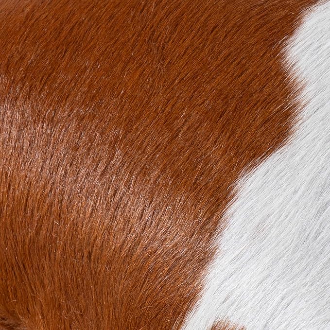 ecowhides 100% Genuine Brazilian Cowhide Pillow Cover – Brown and White – Double-Sided – Luxury Leather Decorative Cushion for Rustic & Western Home Décor – 20” x 20”