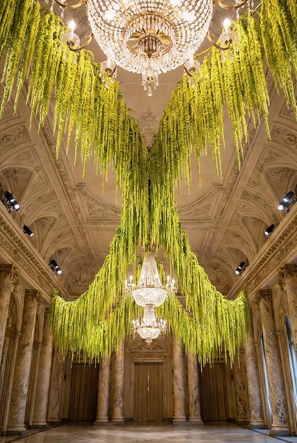 Silva Loup 12pcs Natural Dried Wisteria Hanging Flowers 30" - Bleached Green Vine for Wedding Bouquets, Wall Decor | Shedding Note & Mess-Free Use Tips Included