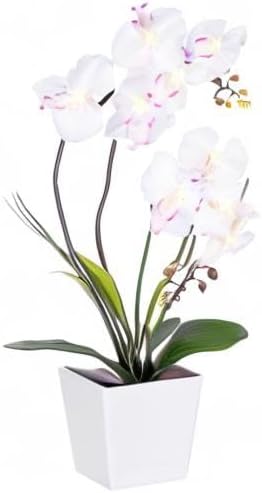 HOMESEASONS Orchid Lamp-LED Lighted Orchid Arrangements,Pre Lit Artificial Orchid,Light Up Flower Lights, Faux Orchid Phalaenopsis Arrangement (White)