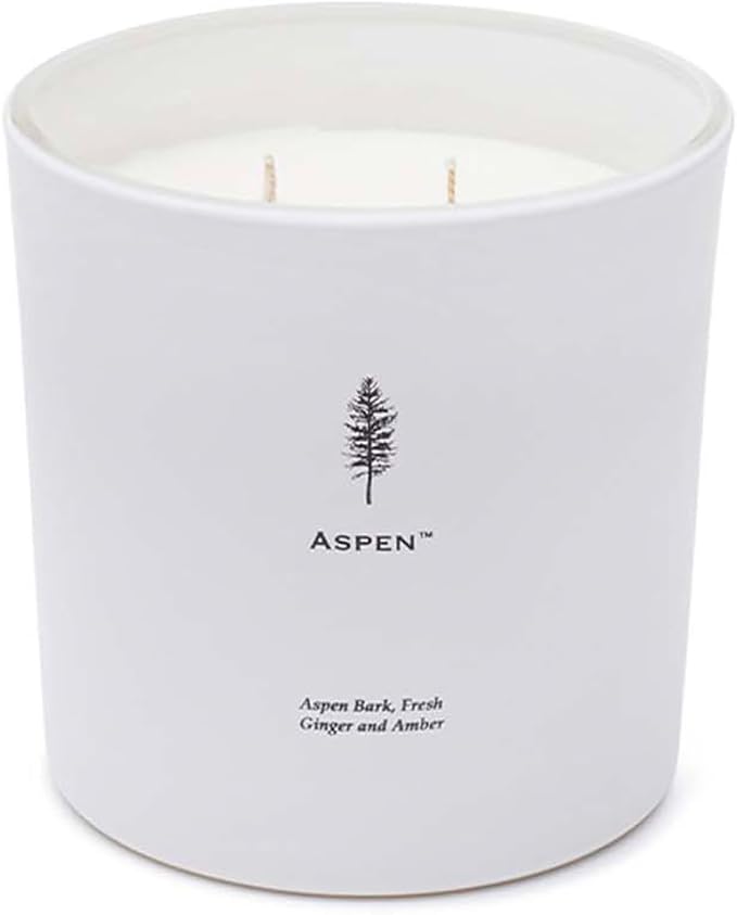 Archipelago Botanicals Aspen Luxe Candle, Aspen Bark, Amber and Musk Scent, Elegant White Glass Jar Candle, Coconut Wax, Double Wicks Burn 100 Hours (13 oz)