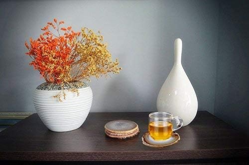 JIC Gem Natural Sliced Agate Coaster with Rubber Bumper Set of 4 (3.5-4", Natural)