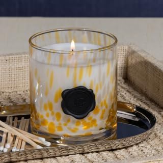 Zodax Apothecary Guild Scented Opal Glass Jar Candle in Gift Box- 11 oz - Portofino