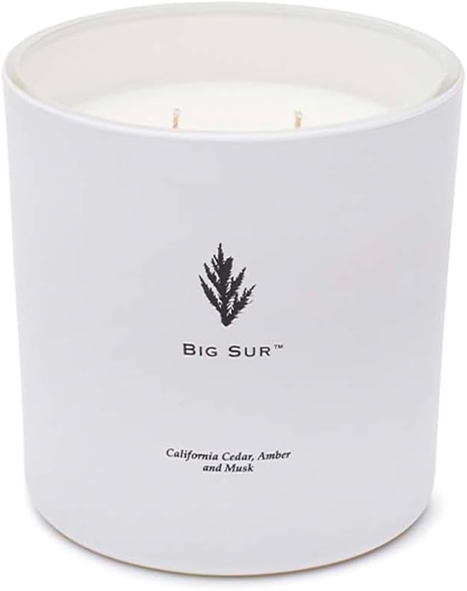 Archipelago Botanicals Big Sur Luxe Candle, California Cedar, Amber and Musk Scent, Elegant White Glass Jar Candle, Coconut Wax, Double Wicks Burn 100 Hours (13 oz)
