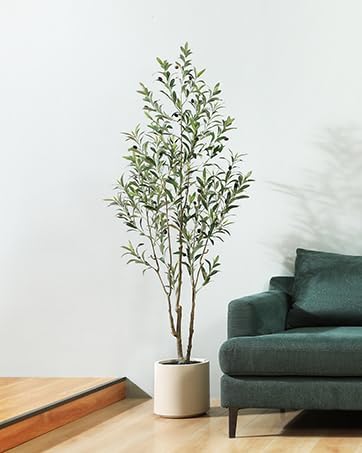 LOMANTO Artificial Olive Trees, 6 ft Tall Fake Olive Trees for Indoor | Faux Olive Silk Tree with White Planter,Large Olive Plants for Home Decor and Housewarming Gift, 1 Pack