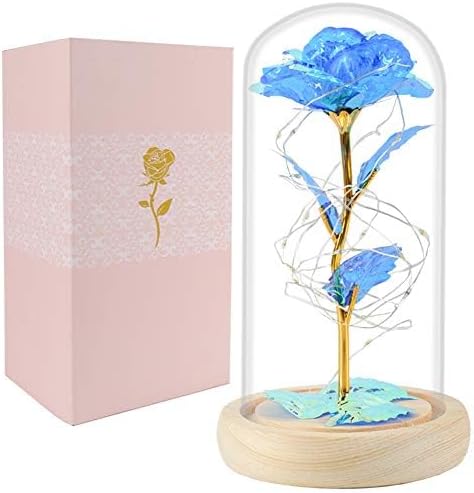 Beferr Mothers Day Rose Gifts for Mom Galaxy Glass Rose Preserved Forever Roses for Delivery Light Up Flowers in Glass Dome Anniversary Birthday Gifts for Women Grandma Wife Her Daughter Girlfriend