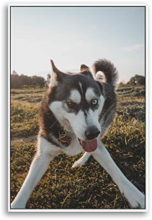 NWT Custom Framed Canvas Prints with Your Photo for Pets, Personalized Canvas Wall Art for Living Room, Bedroom - 16x24 inches