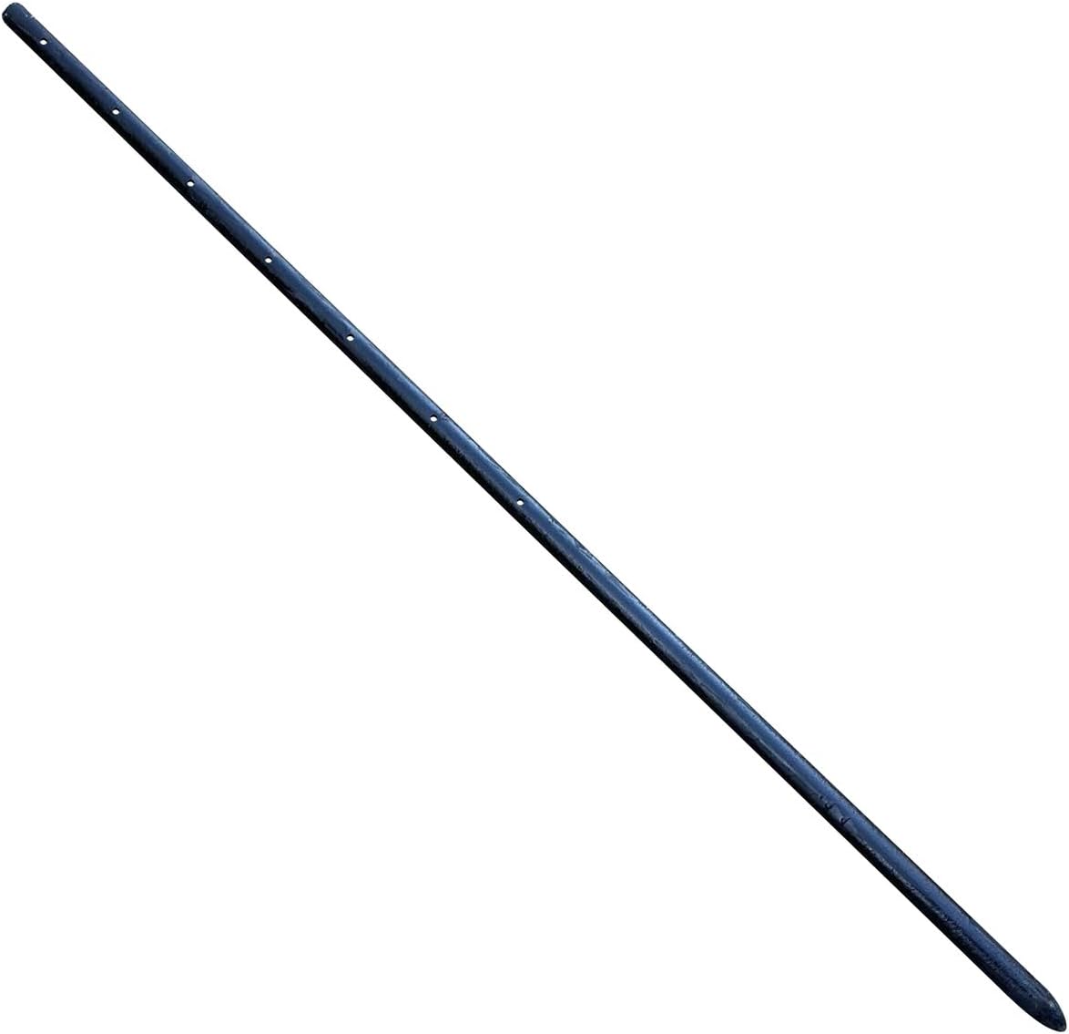 Sandbaggy Round Steel Concrete Form Stakes with Nail Holes - Rust Resistant Coating - Removable, Reusable (200, 3/4 in X 36 in)