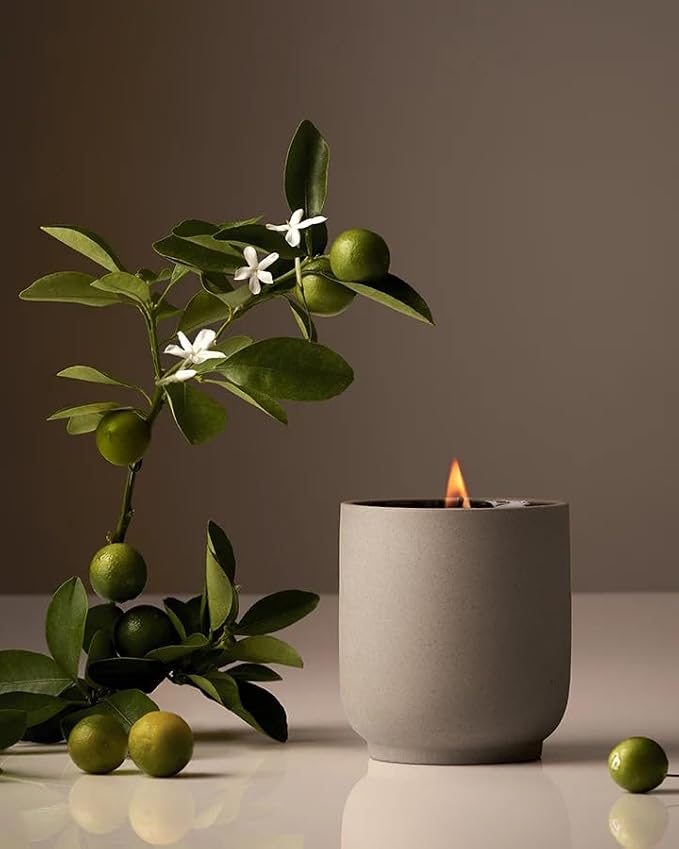 Homecourt by Courteney Cox Luxury Scented Candle, Neroli Leaf, 8 oz | Gently Cleanses & Hydrates, Removes Dirt & Debris Without Irritating Skin, Clean Formula