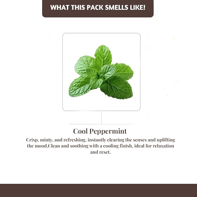 Folkulture Incense Sticks with Holder (100 Sticks)| Peppermint Incents Stick for Focus,Aromatherapy, Relaxation Gifts for Women | No Charcoal,Organic,Non Toxic, 45 Mins, Slow Burning Insence-Sticks