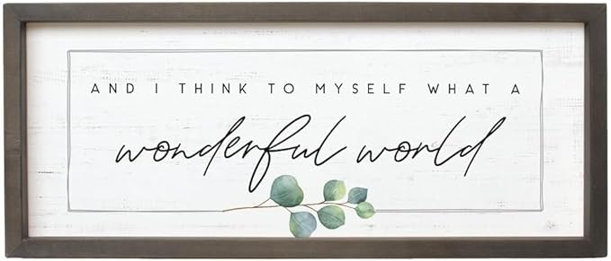 Simply Said, INC Farmhouse Frames What a Wonderful World Wooden Sign, Rustic Framed Wall Art, Inspirational Farmhouse Home Decor, 10 x 24 Inch