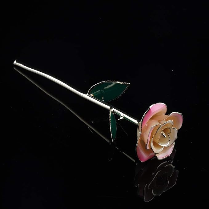 Ejoyous 24K Gold Rose, Forever Preserved Real Rose Lover Mom Wife Daughter Girl Friend, Unique Present on Mother's Day, Wedding Anniversary, Birthday, Proposal, Reward (White