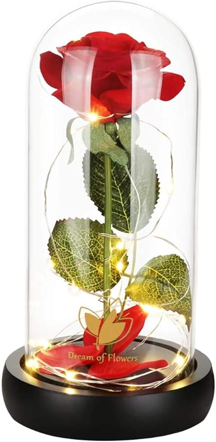 Beauty and The Beast Rose Birthday Gifts for Women, Valentine's Day Gifts for her, Eternal Rose Artificial Flower Light Up Rose in Glass Dome, Glass Roes Flower Gifts for Wife/Girlfriend