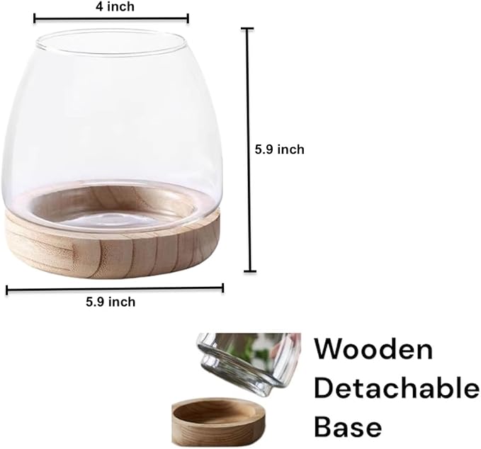 Kraftstories Water Terrarium Kit with 5.9” Glass Bowl, Substrate and Seeds | Create Your Own Indoor Garden | DIY Complete Set for Simple, Stunning Growth Unique Gift for Nature Lover | Desktop Decor