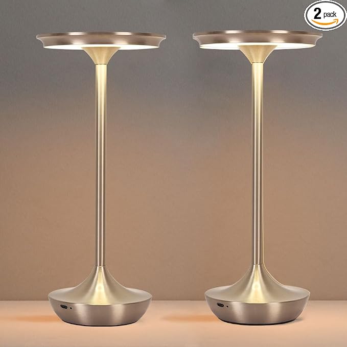 Cordless Table Lamp Set of 2,Portable Rechargeable 6000mAh Outdoor LED Table Lamps,3 Color Stepless Dimming Touch Battery Powered Lamp, Table Light for Restaurant/Patio/Camping/Bedroom(Silver)