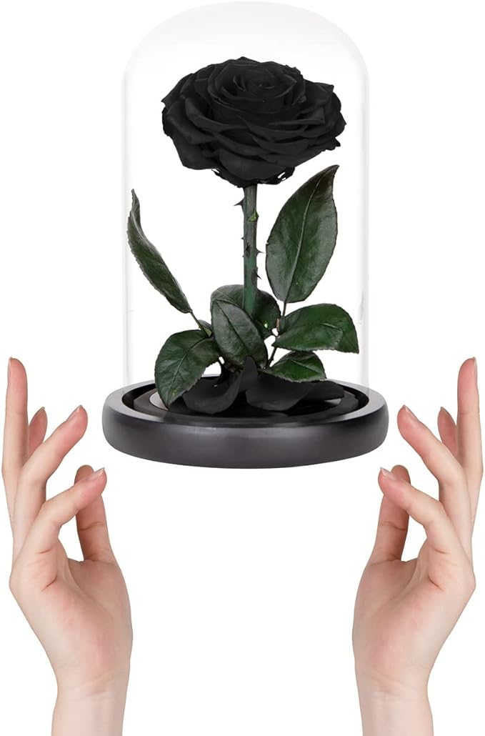 Preserved Roses Black Roses in Glass Dome, Medium, Preserved Flowers for Women