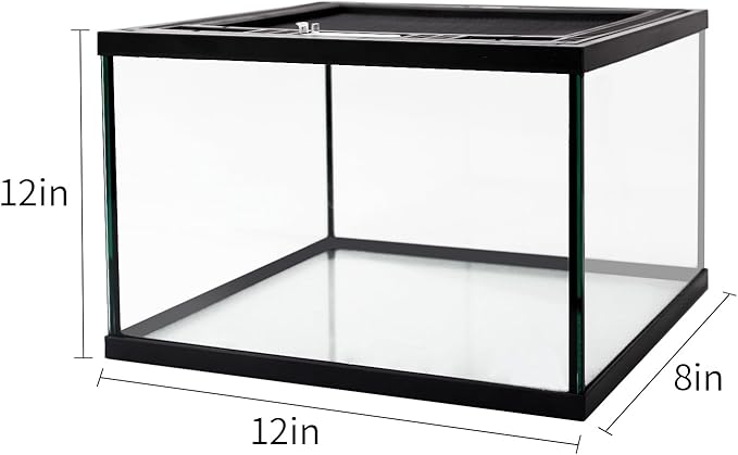 Reptile Glass Terrarium Tank 12 * 12 * 8" Full View with Top Ventilation, Amphibians Habitat Enclosure Cage for Frog,Spiders,Dubia Cockroach,Praying Mantis,Cricket,Tarantula,Hermit Crab