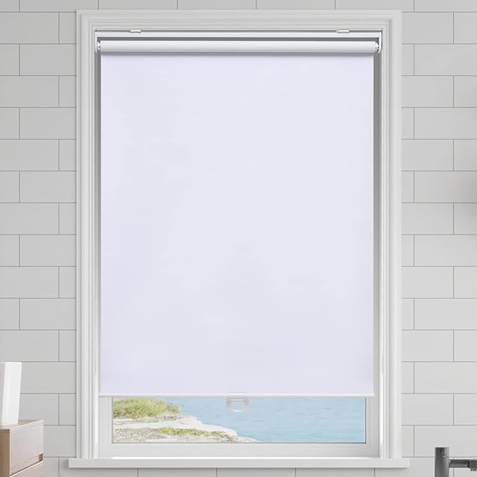 Cordless Roller Shades Blackout Blinds for Windows Room Darkening Rolled Up Shades with Spring System, UV Protection Window Shades Door Blinds for Home and Office (63" W x 72" H, White)