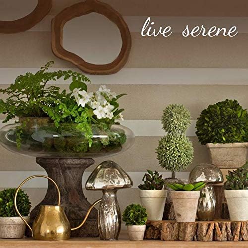 Serene Spaces Living 9.5" Paulownia Round Wood Bowl, Handmade Wooden Decorative Bowl for Décor, Parties, Wedding Centerpiece, Floral Arrangements, Set of 6, Measures 4" Tall and 9.5" Diameter