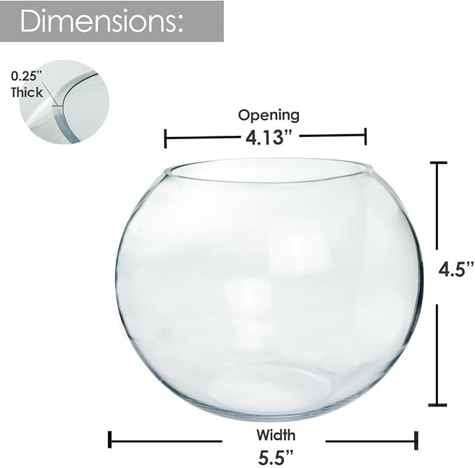 Glass Bubble Vase, 4.5" Height x 6" Width, Set of 6 Glass Fish Bowl Vase, Bubble Bowl vase for Terrarium, Flower Vase Centerpiece