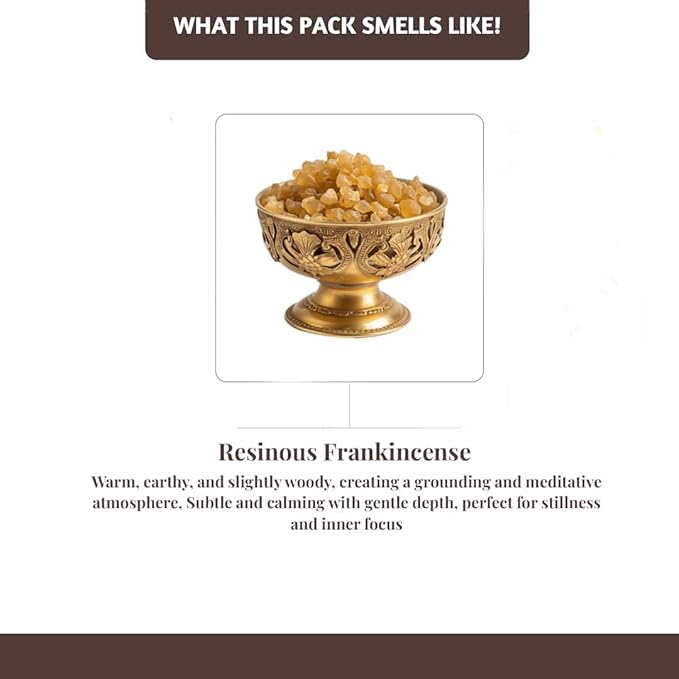 Folkulture Incense Sticks with Holder (100 Sticks)| Frankincense Incents Stick for Meditation, Relaxation, Gifts | No Charcoal,Organic,Non Toxic, 45 Mins, Slow Burning Insence-Sticks - Yoga Inspired