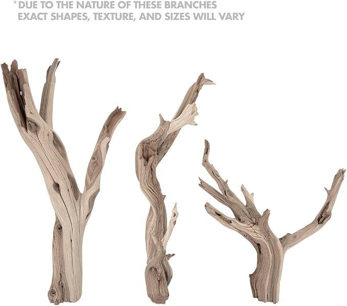 Koyal Wholesale 18” Driftwood Terrarium Decor, Clean California Manzanita Drift Wood Reptile Decor, Driftwood Decor for Home, Desert Reptile Supplies, Small or Large Driftwood Branches for Reptiles
