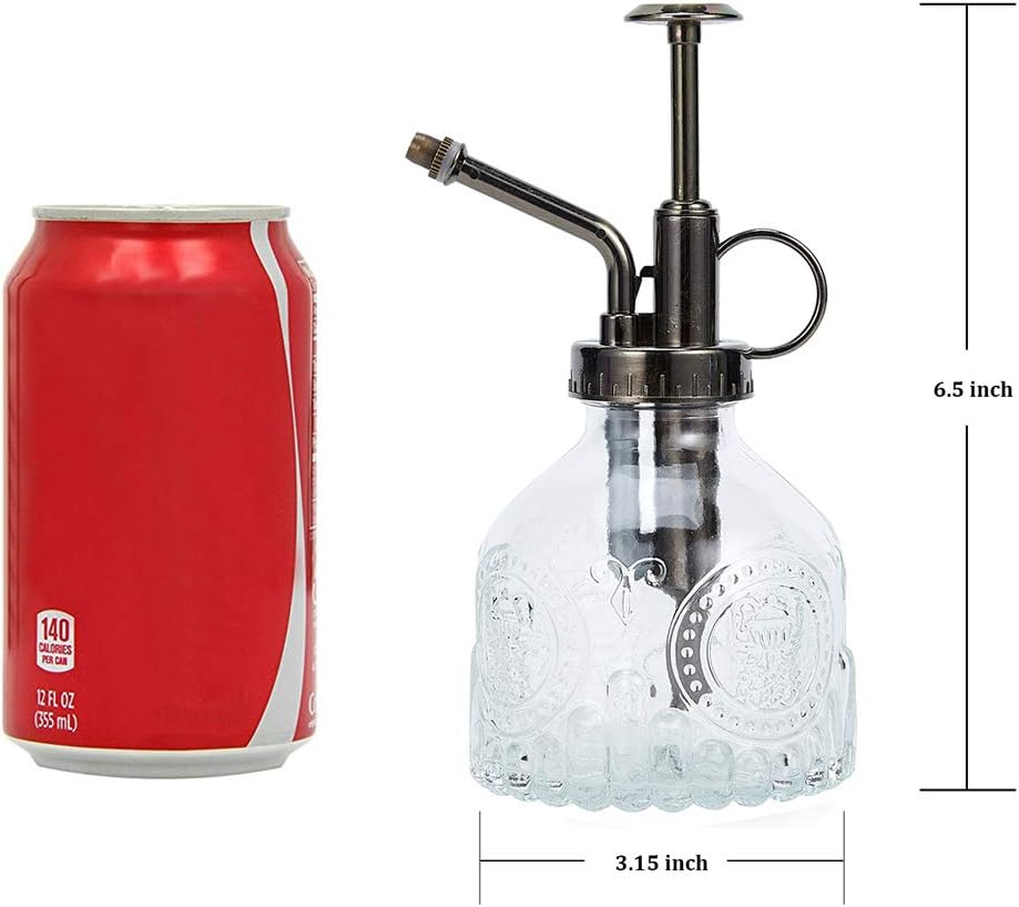 Glass Spray Bottle, 6.5" Tall Vintage Spritzer, Succulent Watering Bottle with Top Pump, Indoor Outdoor Plant Sprayer - Clear