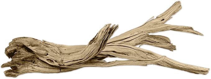 Koyal Wholesale 18” Driftwood Terrarium Decor, Clean California Manzanita Drift Wood Reptile Decor, Driftwood Decor for Home, Desert Reptile Supplies, Small or Large Driftwood Branches for Reptiles
