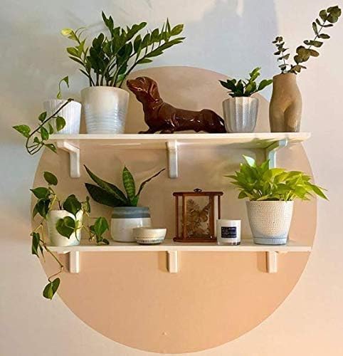 Lulu Candles | Moroccan Amber | Smells Musky & Floral | Luxury Scented Soy Jar Candle | Hand Poured in The USA | Highly Scented Long Lasting (9 Oz.)