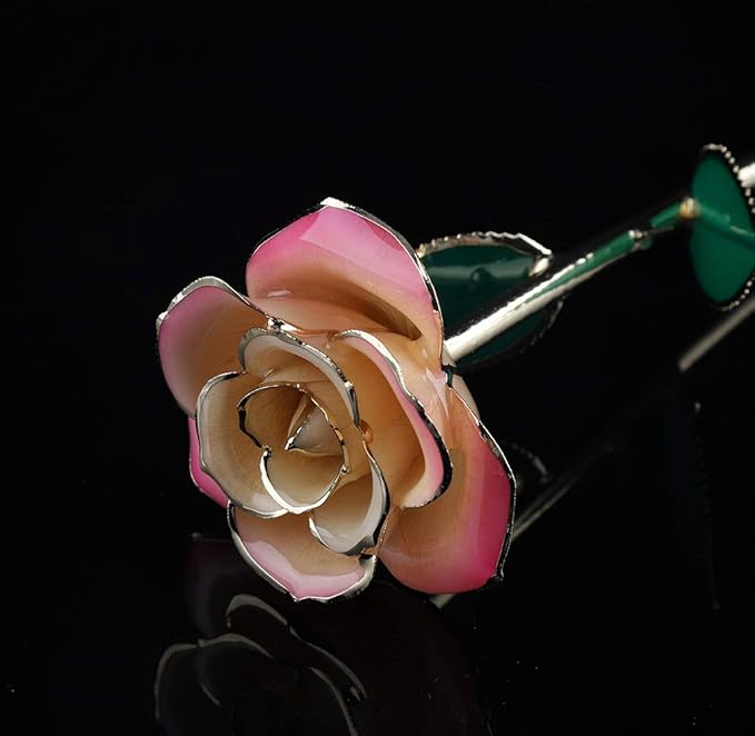 Ejoyous 24K Gold Rose, Forever Preserved Real Rose Lover Mom Wife Daughter Girl Friend, Unique Present on Mother's Day, Wedding Anniversary, Birthday, Proposal, Reward (White