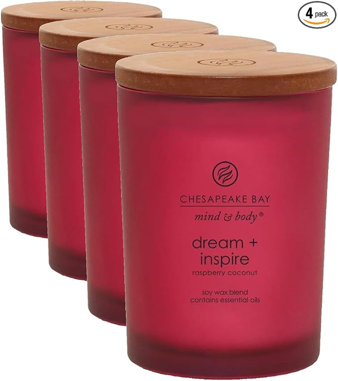 Chesapeake Bay Candle PT41689 Candle Medium Jar Dream & Inspire Home Décor, 8.8oz (Pack of 4)