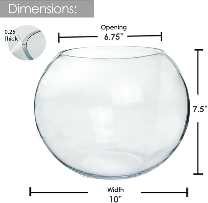 Glass Bubble Vase, 8" Height x 10" Width, Set of 4 Glass Fish Bowl Vase, Bubble Bowl vase for Terrarium, Flower Vase Centerpiece