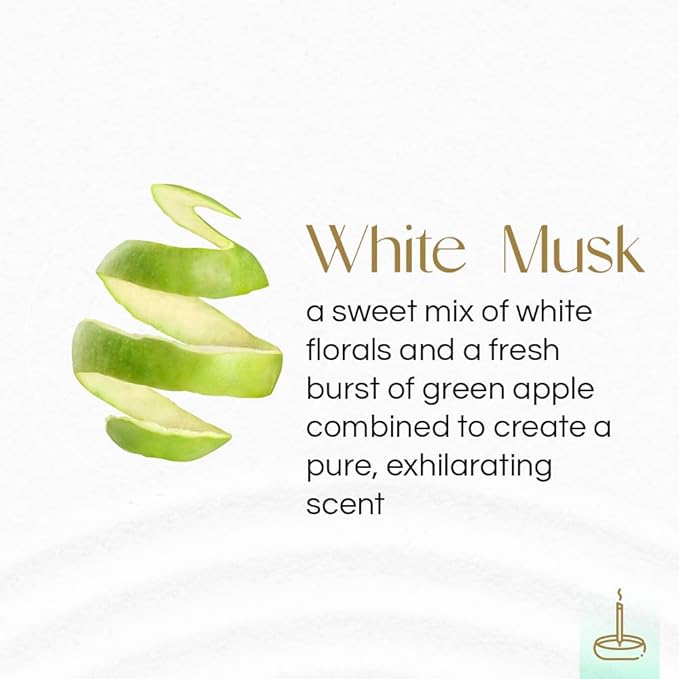 Gonesh - Extra Rich Scented Incense Sticks - Non-Toxic 10” Slow Burn Aromatic Sticks - White Musk - 100 Pack