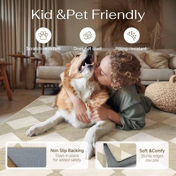 PureCozy Machine Washable Beige 4x6 Area Rugs for Living Room Modern Soft Small Checkered Rug Non-Slip Low Pile Accent Indoor Office Carpet for Bedroom Dining Room Nursery Classroom