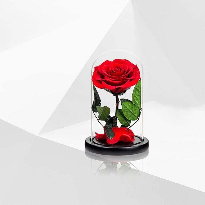 Preserved Roses Red Roses in Glass Dome, Medium, Preserved Flowers for Women