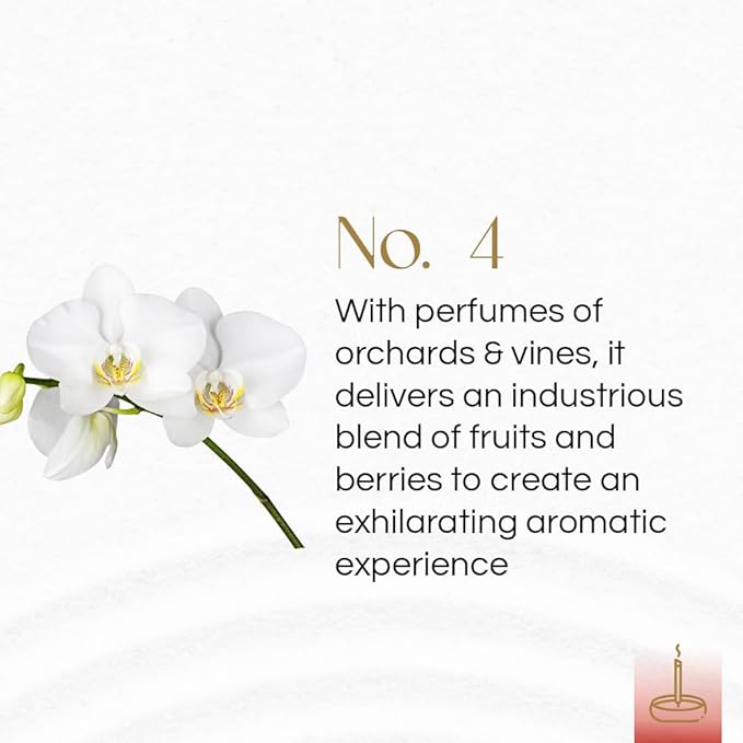 Gonesh - Classic Collection - Non-Toxic 10” Slow Burn Fruit & Floral Aromatic Sticks - No. 4-100 Pack
