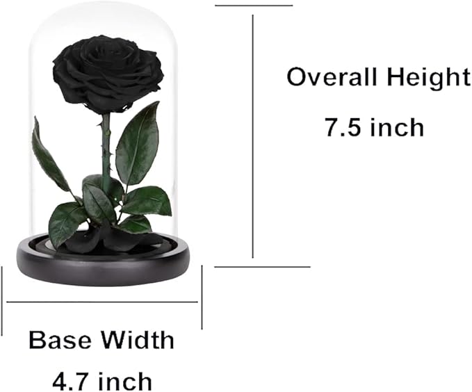 Preserved Roses Black Roses in Glass Dome, Medium, Preserved Flowers for Women