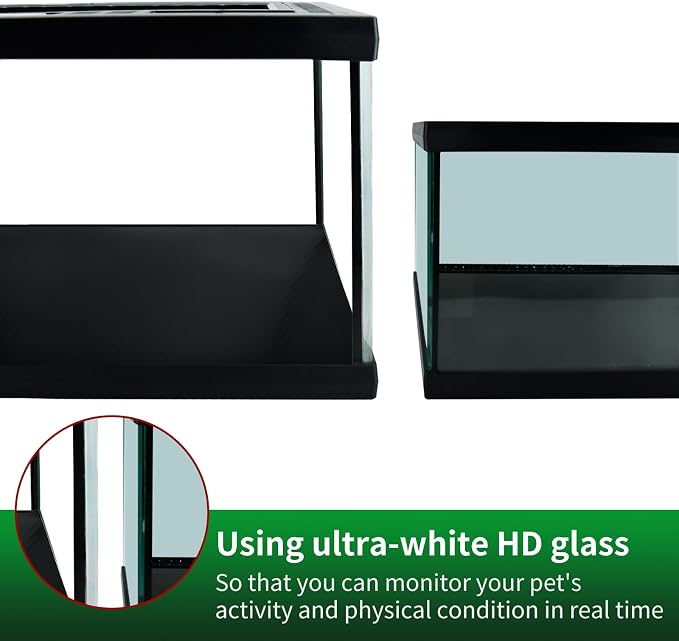 Reptile Glass Terrarium Tank 12 * 12 * 8" Full View with Top Ventilation, Amphibians Habitat Enclosure Cage for Frog,Spiders,Dubia Cockroach,Praying Mantis,Cricket,Tarantula,Hermit Crab
