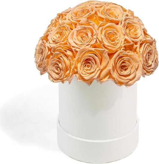 27 Preserved Roses in Round Dome Shape, Mother's Day Real Forever Flowers Rose Box, Eternal Rose Gift for Her Women Girl Friend Wife, Flower Gift for Valentines Day(Champagne)