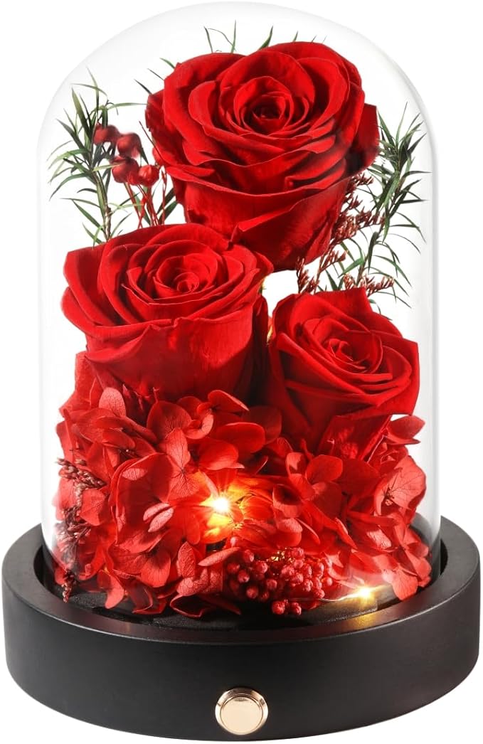Preserved Flowers in Glass Dome with LED,Red Roses for Delivery, Valentines Day Gifts for Women Her Wife Mom on Mothers Day, Anniverysary, Birthday