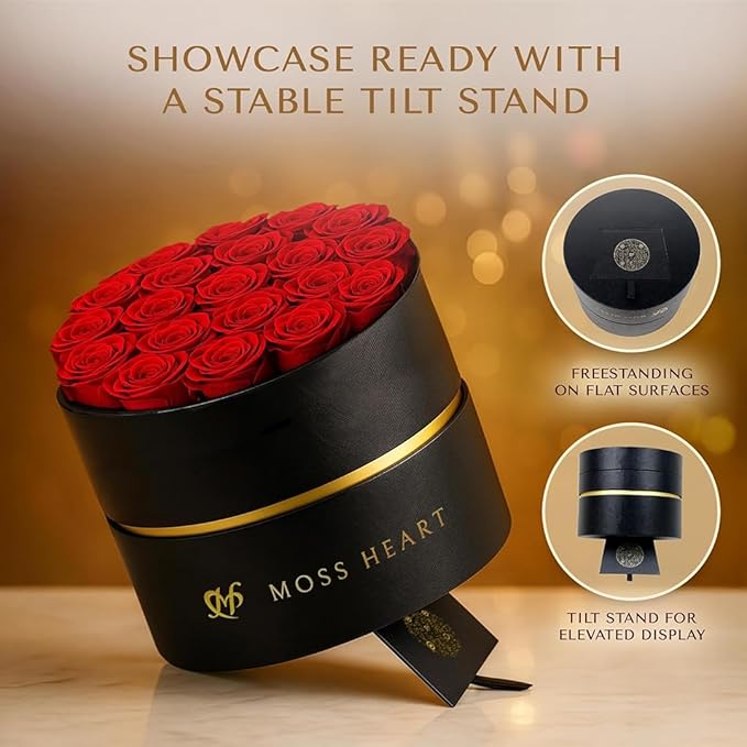 20 Mini Preserved Roses, Round Luxury Gift Box, Real Forever Roses Last 1+ Year, Premium Romantic Gift for Women, Wife, Girlfriend, Mother’s Day, Birthday, Anniversary, Valentine’s Day