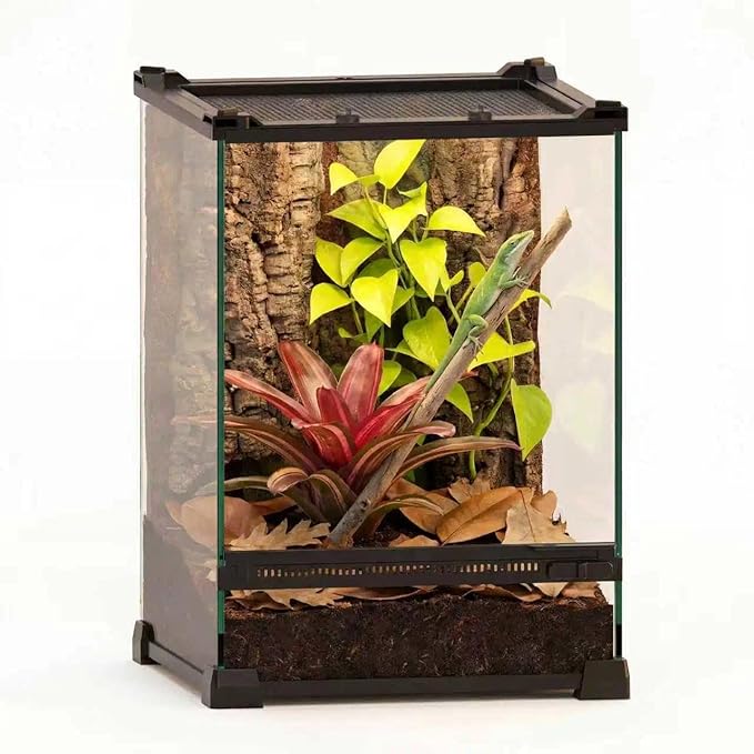 10"x10"x14" Reptile Terrarium, Single-Door Glass Arboreal Vivarium for Small Arboreal Lizards Such as Juvenile Green Anoles, with Lock, Cable Port & Waterproof Deep Base Below Front Door