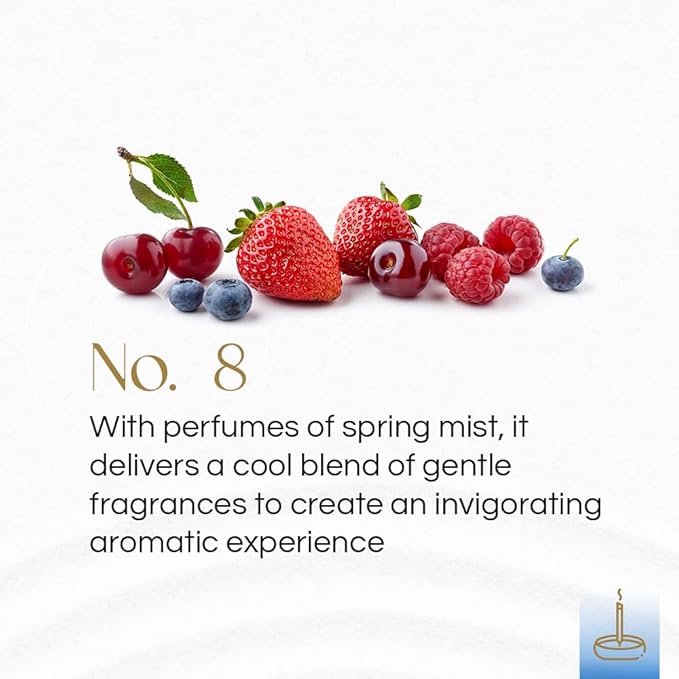 Gonesh - Classic Collection - Non-Toxic 10” Slow Burn Light Fruit & Floral Aromatic Sticks - No. 8-100 Pack