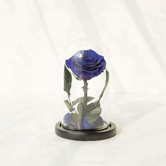 NATROSES Handmade Preserved Roses in Glass Dome, Blue Roses, Preserved Flowers Gifts for Women, Mothers Day Flowers