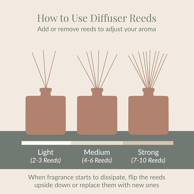 Archipelago Botanicals Dubai Reed Diffuser, Home Fragrance Reed Diffuser, Includes Fragrance Oil, Frosted Glass Vessel & 10 Diffuser Reeds, Perfect for Home, Office or Gift, 7.6 Fl Oz
