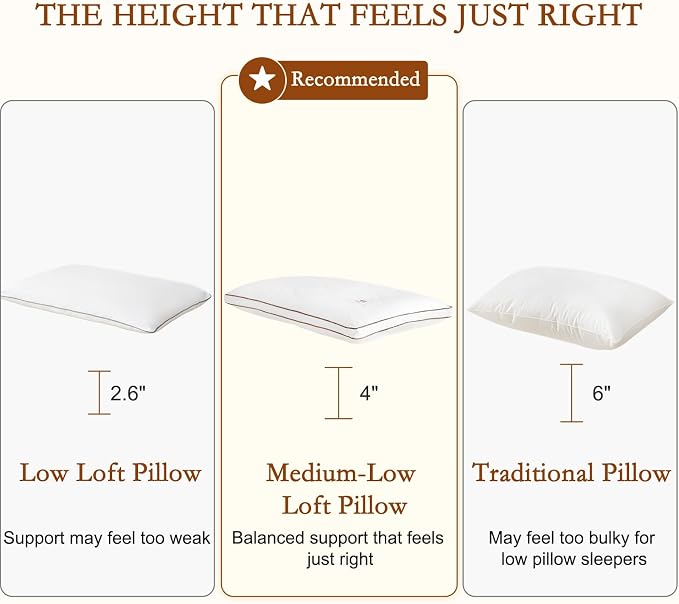 YOUR MOON Natural Wool Pillow Standard Size, Flat & Thin Wool Pillow for Sleeping, Low-Loft Bed Pillows for Back and Stomach Sleepers, Breathable Cotton Cover (White)