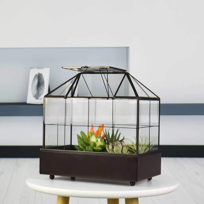 YIMORENCE V Large Tall Plant Terrarium Glass Greenhouse with Lid and Tray, Indoor Tabletop Orchid Succulent Cacti Kit 9.5'X9.8'X5.6'