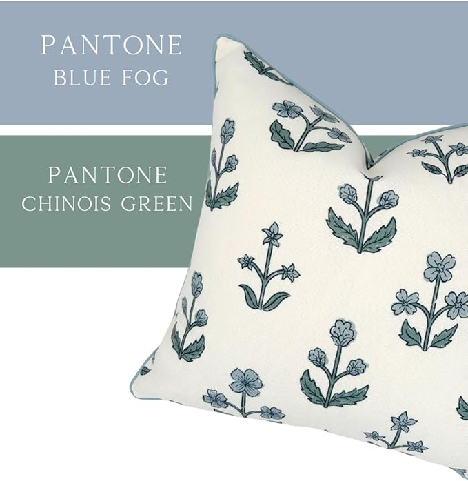 Jillien Harbor "The Bella” Floral Block Print Pillow Cover – Blue & White Decorative Throw Pillow Cover with White Background – Grandmillennial Home Decor, 20" x 20"